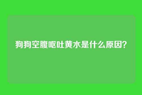 狗狗空腹呕吐黄水是什么原因?