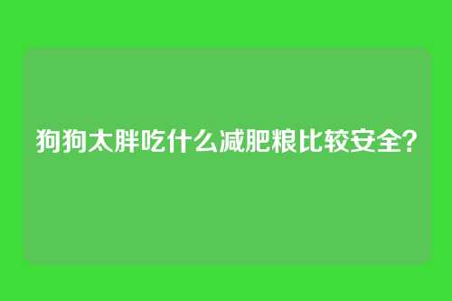 狗狗太胖吃什么减肥粮比较安全？