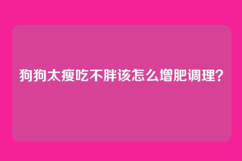 狗狗太瘦吃不胖该怎么增肥调理？