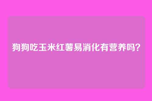 狗狗吃玉米红薯易消化有营养吗?