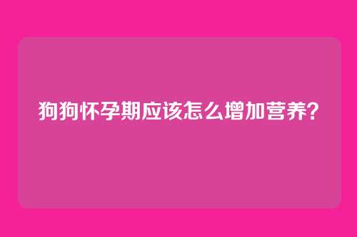 狗狗怀孕期应该怎么增加营养？