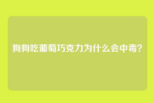 狗狗吃葡萄巧克力为什么会中毒？
