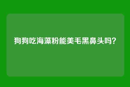 狗狗吃海藻粉能美毛黑鼻头吗？