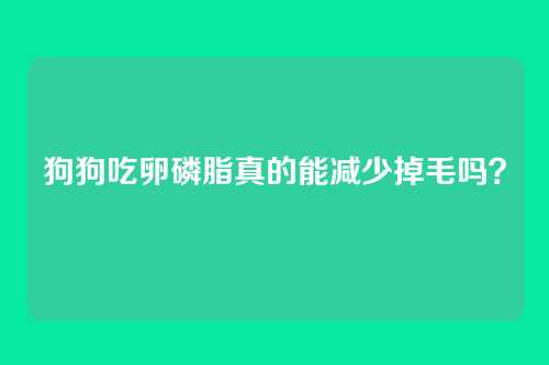 狗狗吃卵磷脂真的能减少掉毛吗？