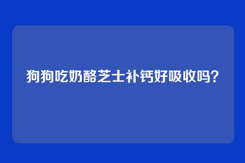 狗狗吃奶酪芝士补钙好吸收吗？