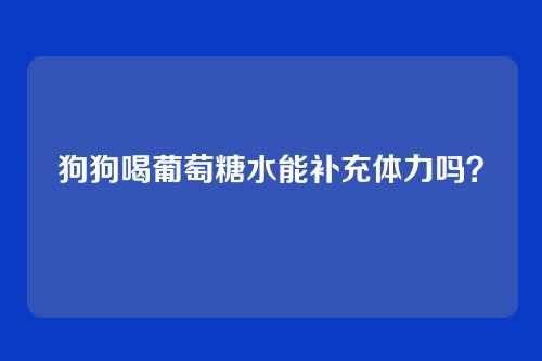 狗狗喝葡萄糖水能补充体力吗？