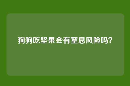 狗狗吃坚果会有窒息风险吗？