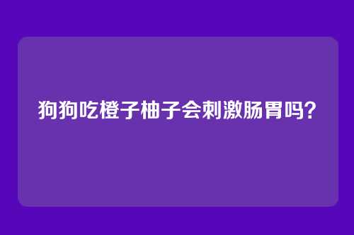 狗狗吃橙子柚子会刺激肠胃吗？