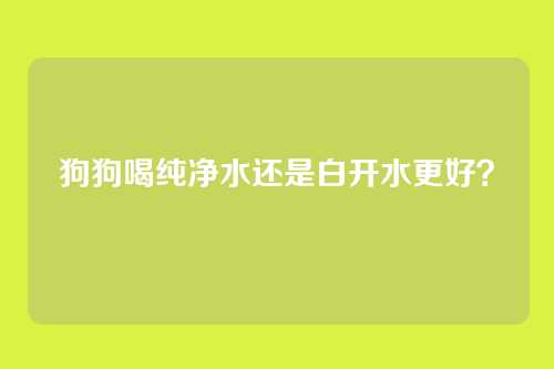 狗狗喝纯净水还是白开水更好?