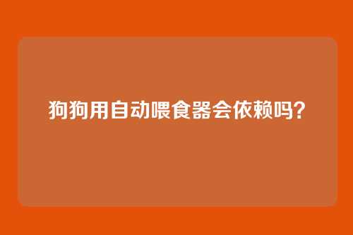 狗狗用自动喂食器会依赖吗？