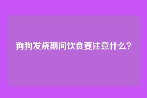 狗狗发烧期间饮食要注意什么？