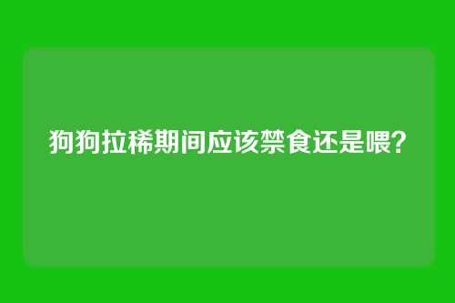 狗狗拉稀期间应该禁食还是喂？