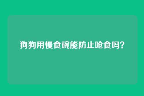 狗狗用慢食碗能防止呛食吗？