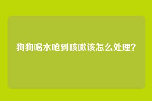 狗狗喝水呛到咳嗽该怎么处理？