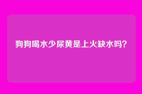 狗狗喝水少尿黄是上火缺水吗？