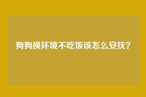 狗狗换环境不吃饭该怎么安抚？