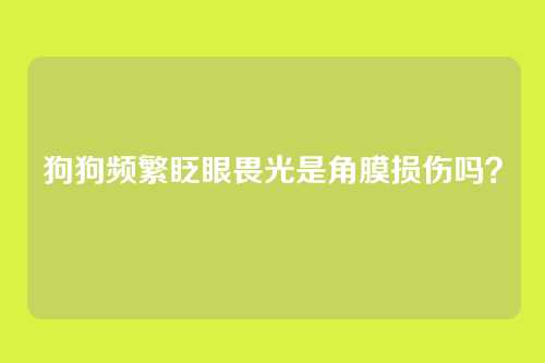 狗狗频繁眨眼畏光是角膜损伤吗?