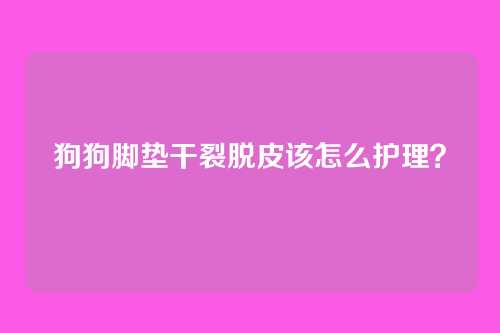 狗狗脚垫干裂脱皮该怎么护理？