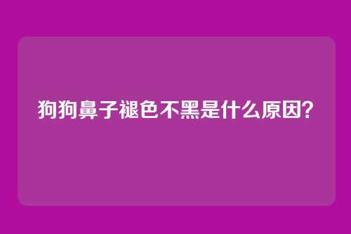 狗狗鼻子褪色不黑是什么原因？