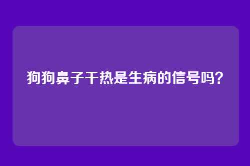 狗狗鼻子干热是生病的信号吗？
