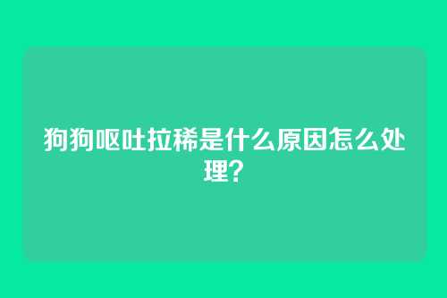 狗狗呕吐拉稀是什么原因怎么处理？