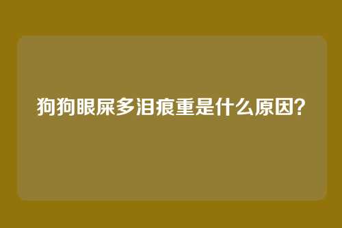 狗狗眼屎多泪痕重是什么原因？