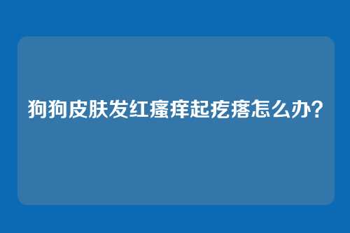 狗狗皮肤发红瘙痒起疙瘩怎么办？