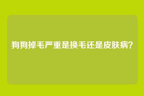 狗狗掉毛严重是换毛还是皮肤病？