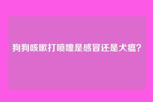 狗狗咳嗽打喷嚏是感冒还是犬瘟？