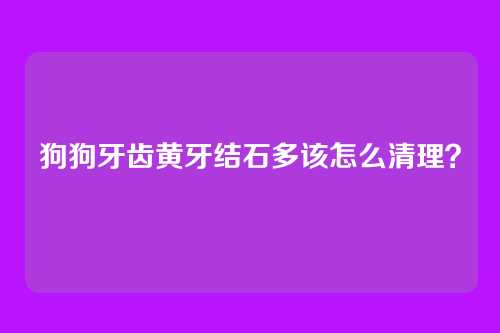 狗狗牙齿黄牙结石多该怎么清理？