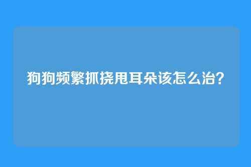 狗狗频繁抓挠甩耳朵该怎么治？