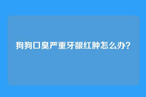 狗狗口臭严重牙龈红肿怎么办？