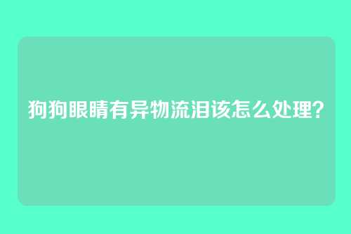 狗狗眼睛有异物流泪该怎么处理？
