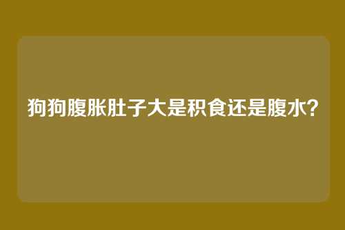 狗狗腹胀肚子大是积食还是腹水？