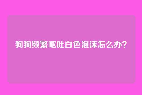 狗狗频繁呕吐白色泡沫怎么办？