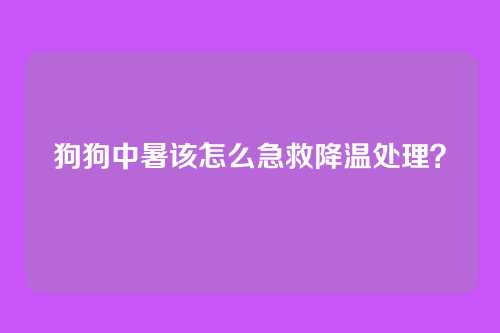 狗狗中暑该怎么急救降温处理？