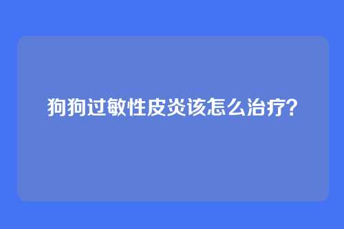 狗狗过敏性皮炎该怎么治疗？