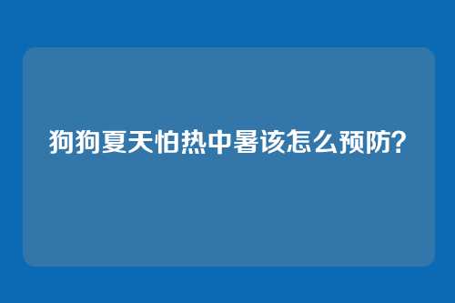 狗狗夏天怕热中暑该怎么预防?