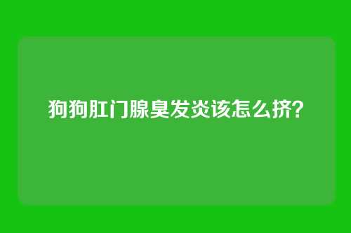 狗狗肛门腺臭发炎该怎么挤？