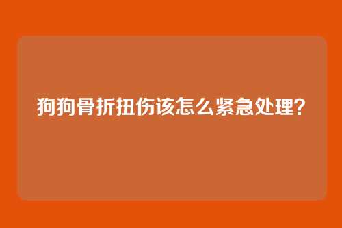 狗狗骨折扭伤该怎么紧急处理？