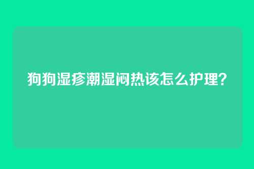狗狗湿疹潮湿闷热该怎么护理？