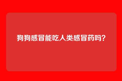 狗狗感冒能吃人类感冒药吗？
