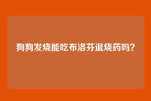 狗狗发烧能吃布洛芬退烧药吗？