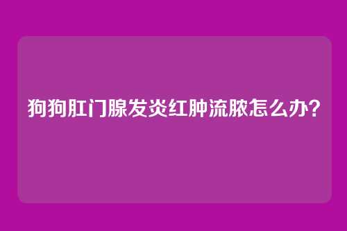 狗狗肛门腺发炎红肿流脓怎么办?