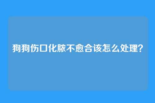 狗狗伤口化脓不愈合该怎么处理?