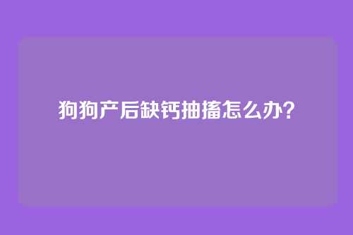 狗狗产后缺钙抽搐怎么办？