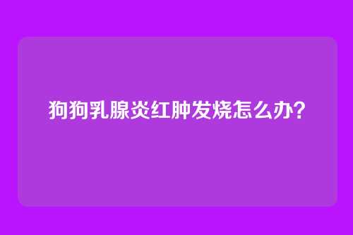 狗狗乳腺炎红肿发烧怎么办？