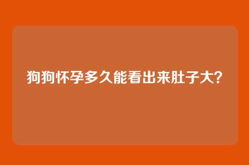 狗狗怀孕多久能看出来肚子大？