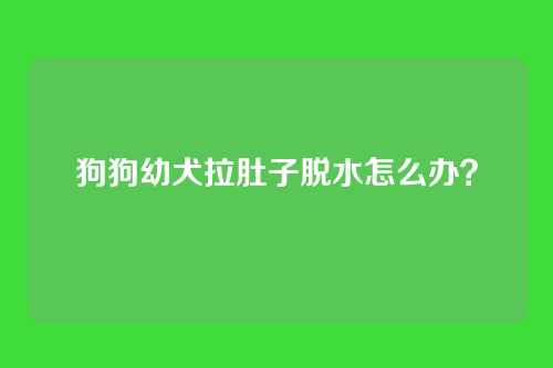 狗狗幼犬拉肚子脱水怎么办？