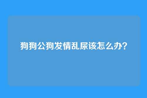 狗狗公狗发情乱尿该怎么办？